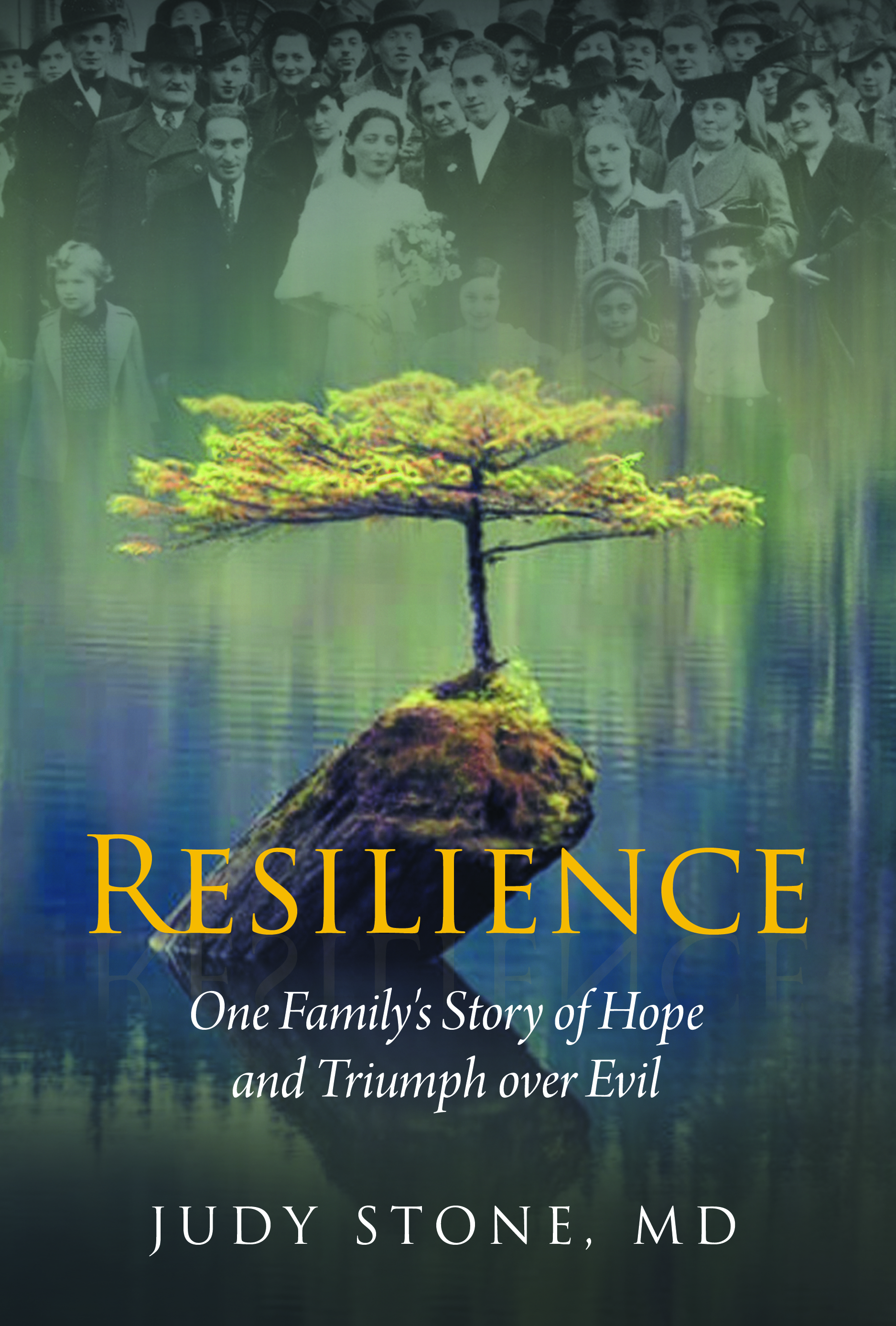 #38-3-Resilience Front Cover Print
