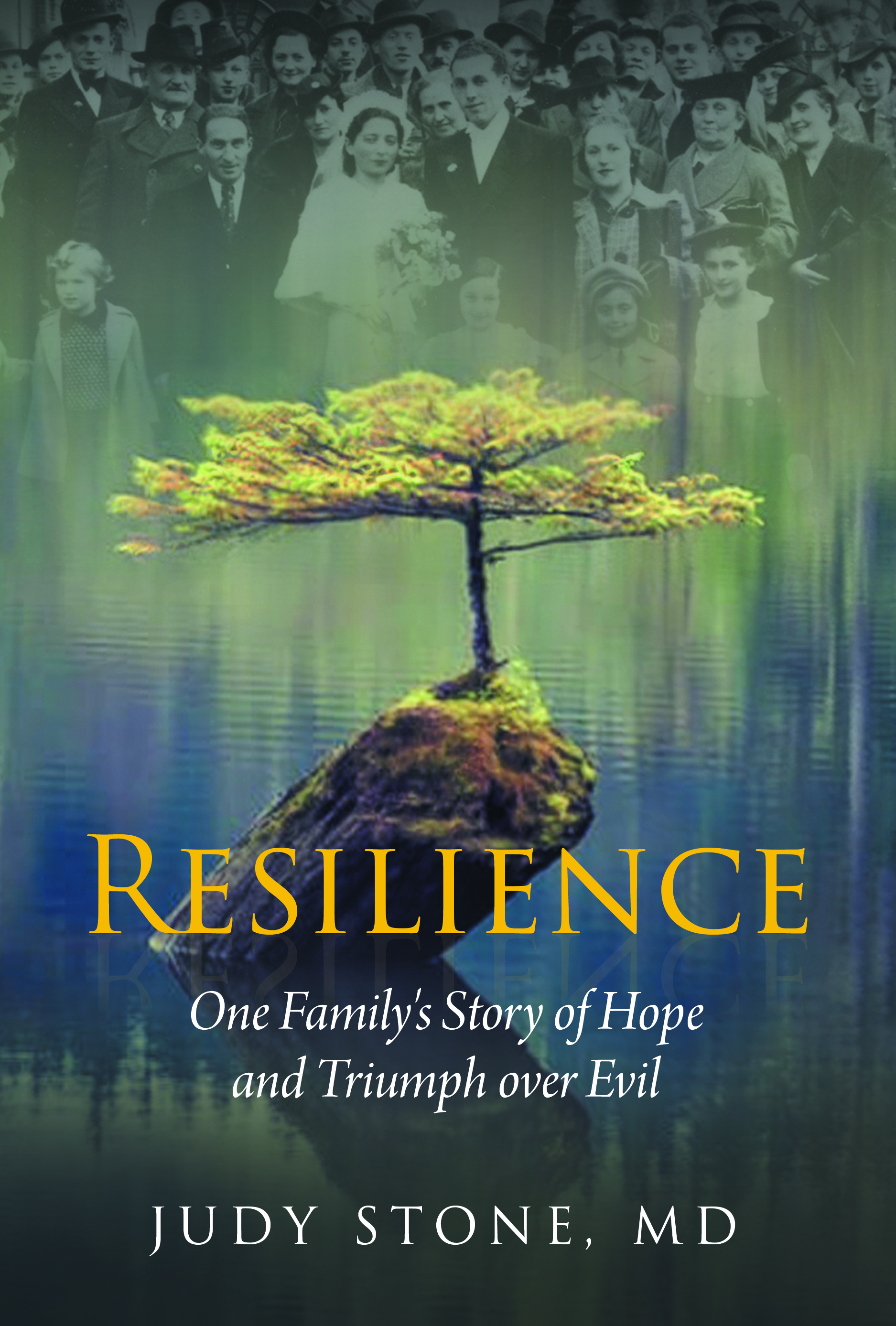 #38-3-Resilience Front Cover Print #38-3-Resilience Front Cover Print